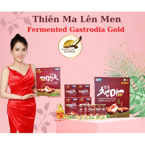 Fermented Gastrodia Gold Tinh Chất Thiên Ma Lên Men